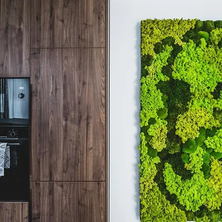 Apartman Beauty Bar Concept Zsolna